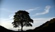 Visitors to Hadrians Wall summer 2015